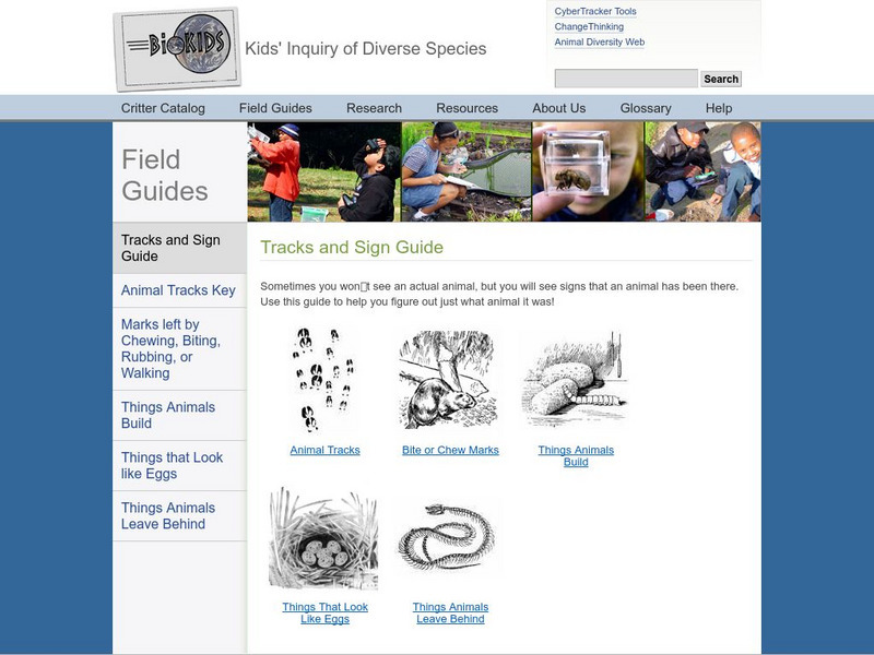 University of Michigan: Animal Sign Guide Activity University of Michigan: Animal Sign Guide Activity