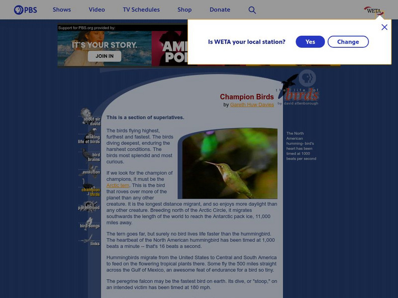 Pbs: Champion Birds Handout Pbs: Champion Birds Handout