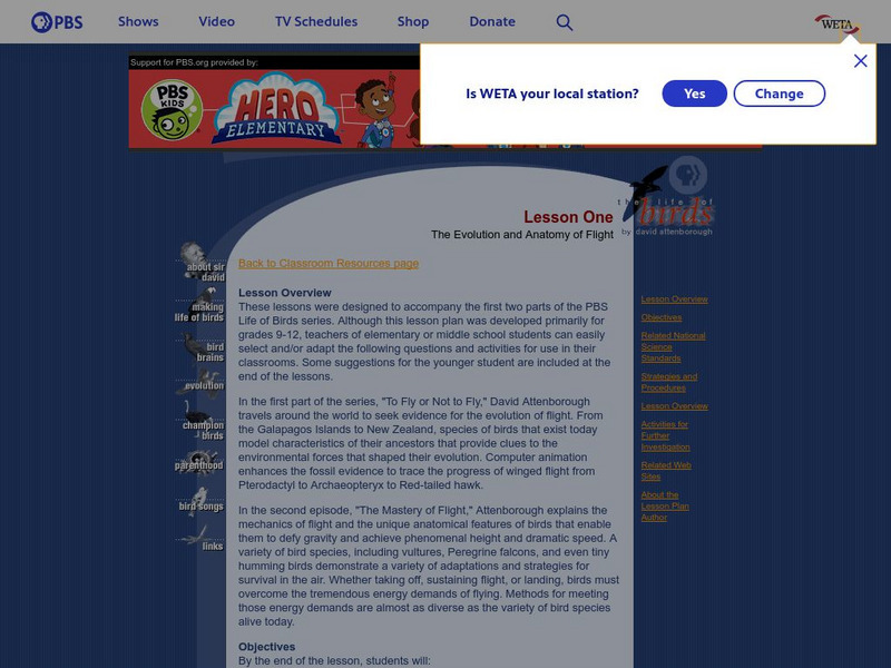 Pbs the Life of Birds: Evolution and Anatomy of Flight Lesson Plan Pbs the Life of Birds: Evolution and Anatomy of Flight Lesson Plan