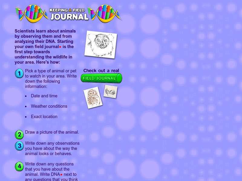 American Museum of Natural History: O Logy: Stuff to Do: Keeping a Field Journal Activity American Museum of Natural History: O Logy: Stuff to Do: Keeping a Field Journal Activity