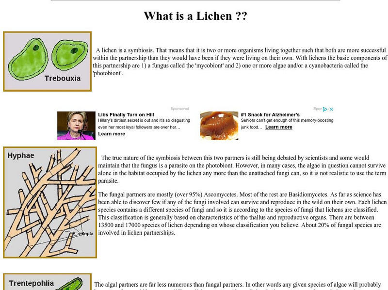Earth Life Web: What Is a Lichen? Handout Earth Life Web: What Is a Lichen? Handout