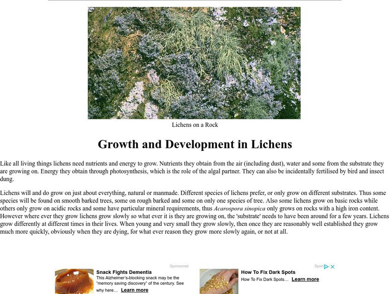 Earth Life Web: Growth and Development in Lichens Handout Earth Life Web: Growth and Development in Lichens Handout