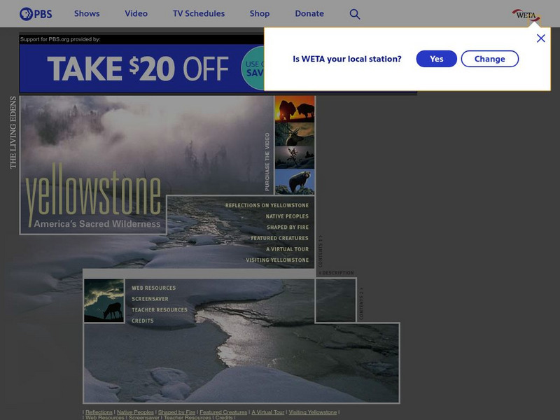 Pbs: Yellowstone Activity Pbs: Yellowstone Activity