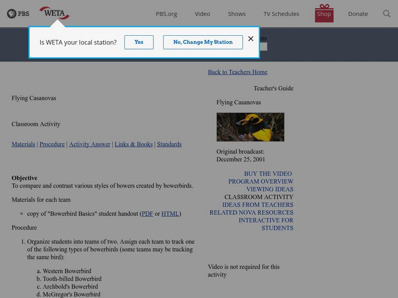 Pbs Teachers:flying Casanovas: Bowerbird Basics Lesson Plan