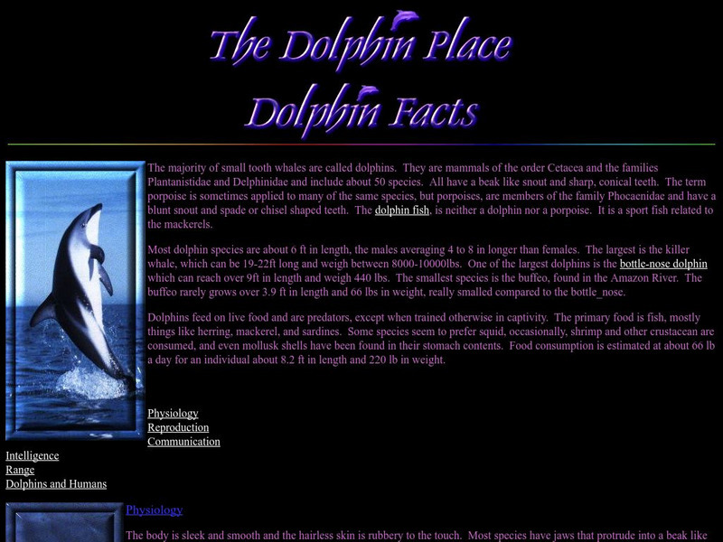 The Dolphin Place Handout The Dolphin Place Handout