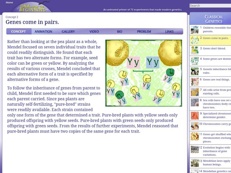 Dna Learning Center: Dna From the Beginning: Genes Come in Pairs Unit Plan