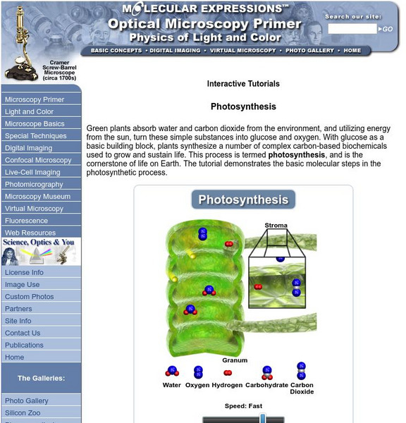 Florida State University: Molecular Expressions: Photosynthesis Interactive