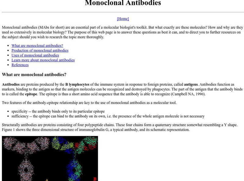 Davidson College: Molecular Biology: Monoclonal Antibodies Handout Davidson College: Molecular Biology: Monoclonal Antibodies Handout