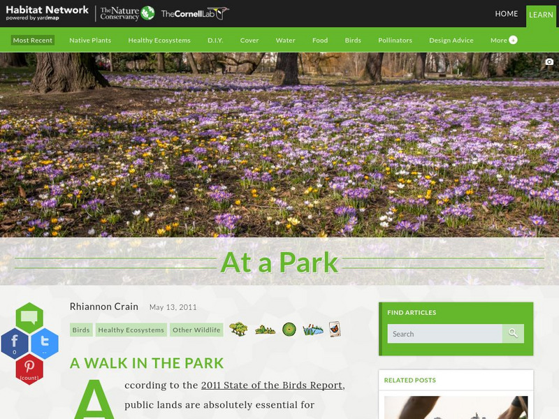 Habitat Network: At a Park Article Habitat Network: At a Park Article
