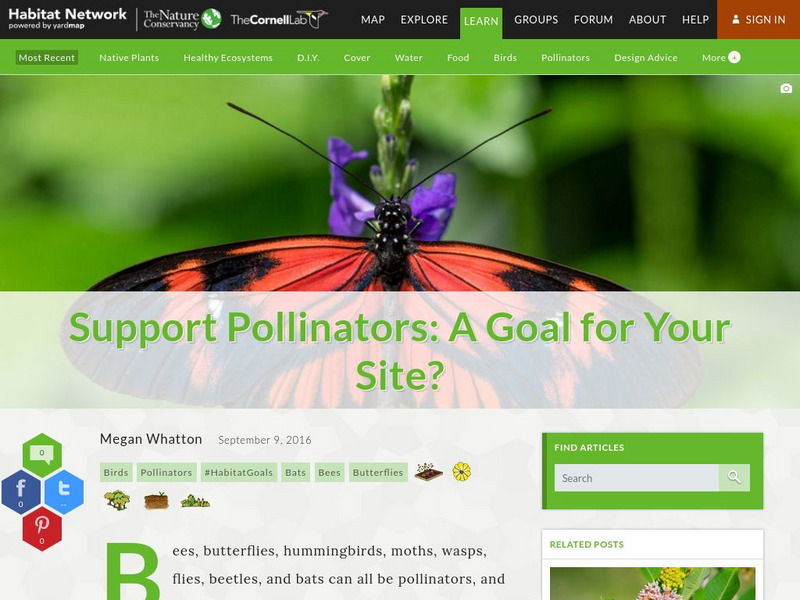 Habitat Network: Support Pollinators: A Goal for Your Site? Article Habitat Network: Support Pollinators: A Goal for Your Site? Article
