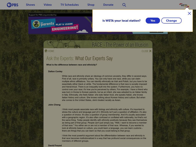 Pbs: What Is the Difference Between Race and Ethnicity? Handout