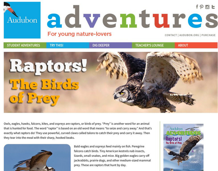 National Audubon Society: Audubon Adventures: Raptors! The Birds of Prey Website National Audubon Society: Audubon Adventures: Raptors! The Birds of Prey Website