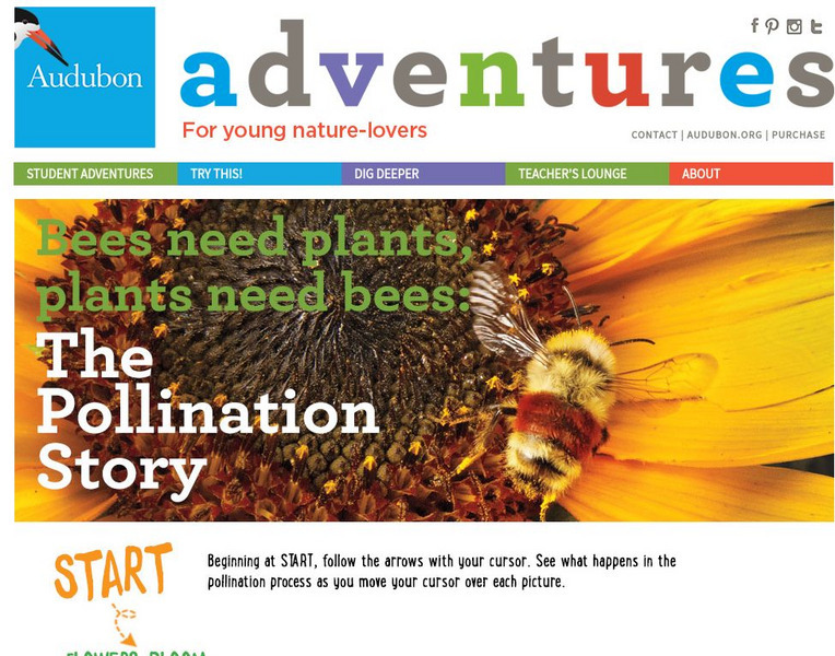National Audubon Society: Audubon Adventures: The Pollination Story Graphic National Audubon Society: Audubon Adventures: The Pollination Story Graphic