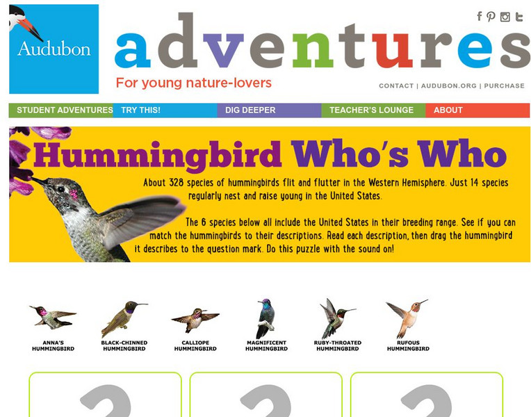 Audubon Adventures: Hummingbird Who's Who Interactive Audubon Adventures: Hummingbird Who's Who Interactive