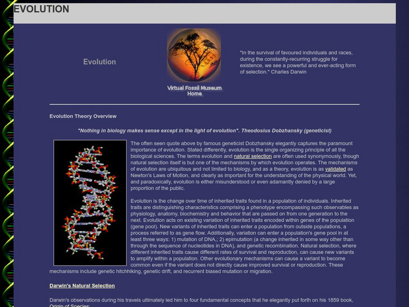 Virtual Fossil Museum: Evolution Website Virtual Fossil Museum: Evolution Website