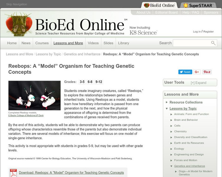 Bio Ed Online: Reebops: A "Model" Organism for Teaching Genetic Concepts Lesson Plan Bio Ed Online: Reebops: A "Model" Organism for Teaching Genetic Concepts Lesson Plan