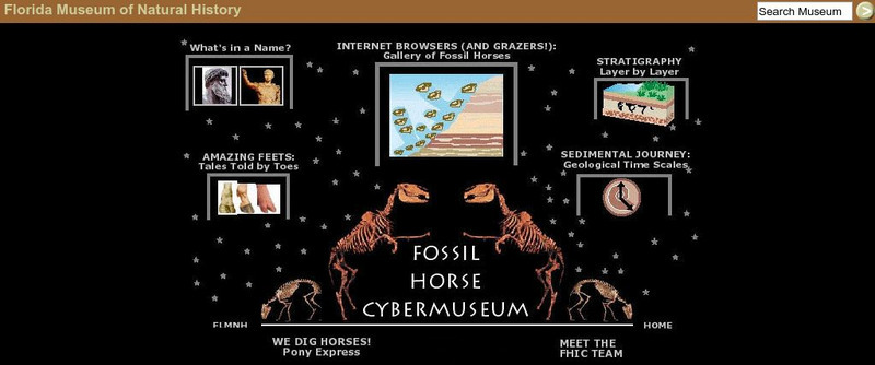 U. Florida Museum: Fossil Horse Cyber Museum Website