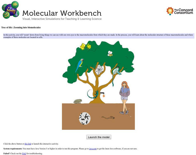 Concord Consortium: Molecular Workbench Showcase: The Tree of Life's Molecules Unit Plan Concord Consortium: Molecular Workbench Showcase: The Tree of Life's Molecules Unit Plan
