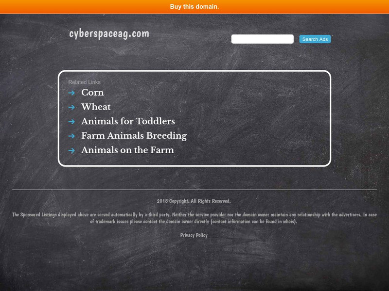 Cyber Space Farm: Spring Lambs Handout Cyber Space Farm: Spring Lambs Handout
