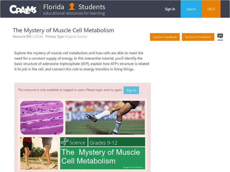 Florida State University Cpalms: Florida Students: The Mystery of Muscle Cell Metabolism Unit Plan Florida State University Cpalms: Florida Students: The Mystery of Muscle Cell Metabolism Unit Plan