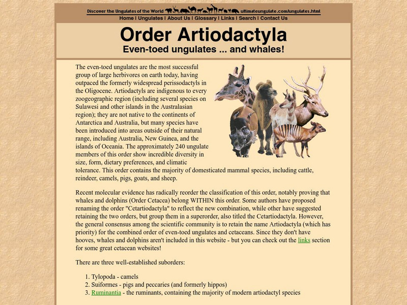 The Ultimate Ungulate Page: Order Artiodactyla Handout