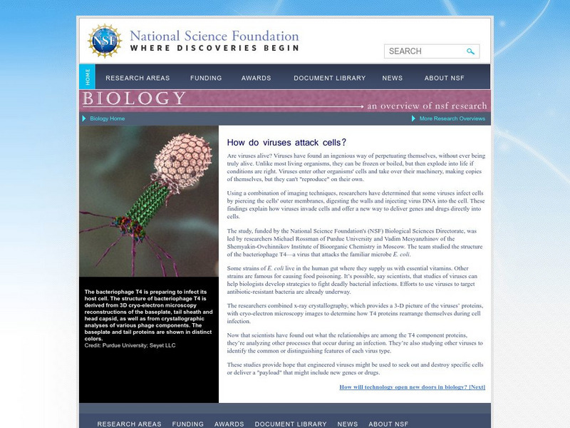 National Science Foundation: How Do Viruses Attack Cells? Handout National Science Foundation: How Do Viruses Attack Cells? Handout