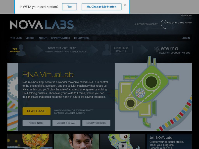 Pbs: Nova Labs: Rna Virtual Lab Interactive Pbs: Nova Labs: Rna Virtual Lab Interactive