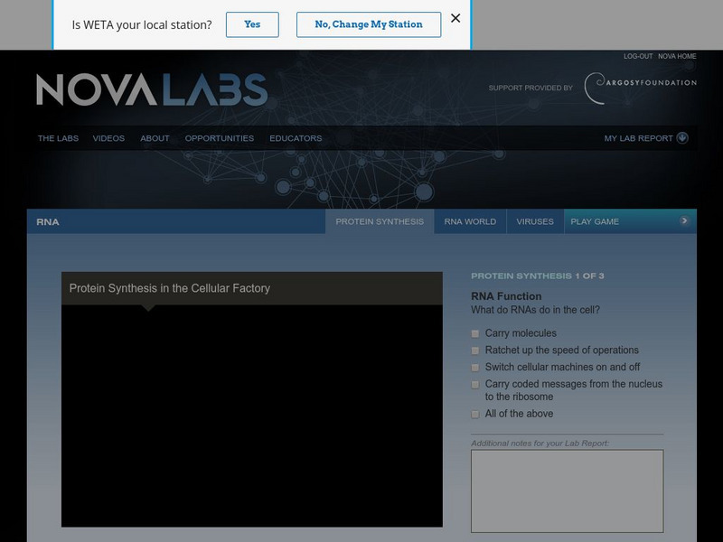 Pbs: Nova Labs: Protein Synthesis in the Cellular Factory Unit Plan Pbs: Nova Labs: Protein Synthesis in the Cellular Factory Unit Plan