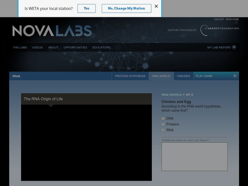 Pbs: Nova Labs: The Rna Origin of Life Unit Plan Pbs: Nova Labs: The Rna Origin of Life Unit Plan