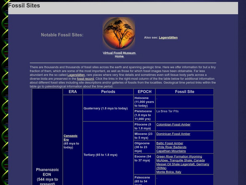 Fossil Museum: Fossil Sites Handout Fossil Museum: Fossil Sites Handout