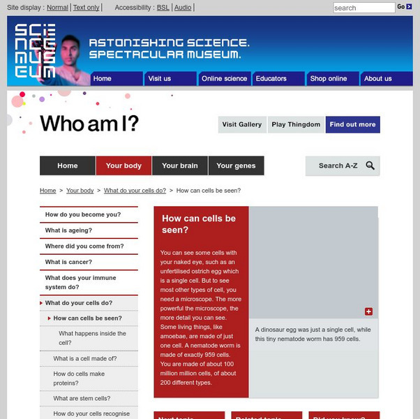 Science Museum: What Do Your Cells Do? Activity