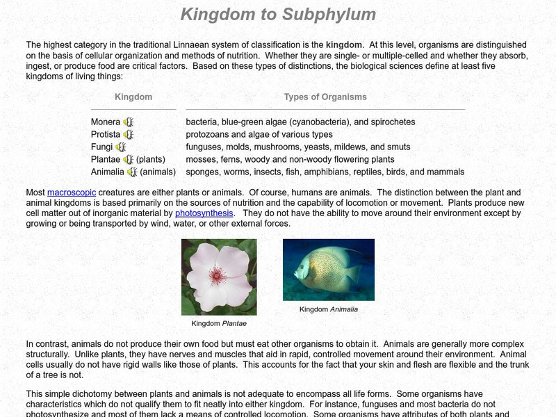 Palomar College: Kingdom to Subphylum Handout Palomar College: Kingdom to Subphylum Handout