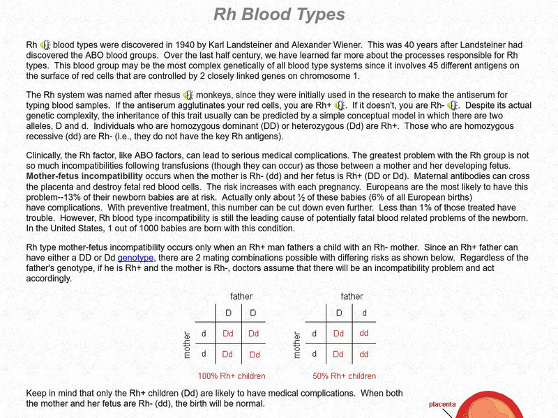 Palomar College: Rh Blood Types Handout Palomar College: Rh Blood Types Handout