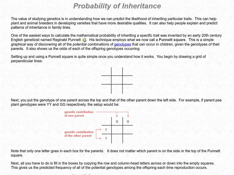 Probability of Inheritance Handout Probability of Inheritance Handout