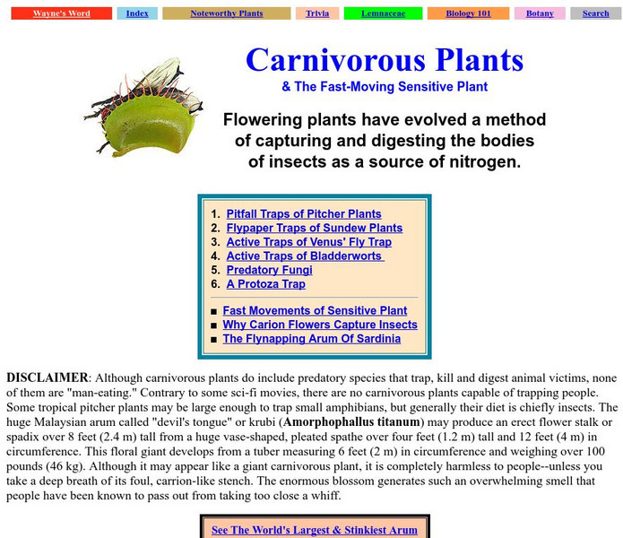 Wayne's Word: Carnivorous Plants Handout Wayne's Word: Carnivorous Plants Handout