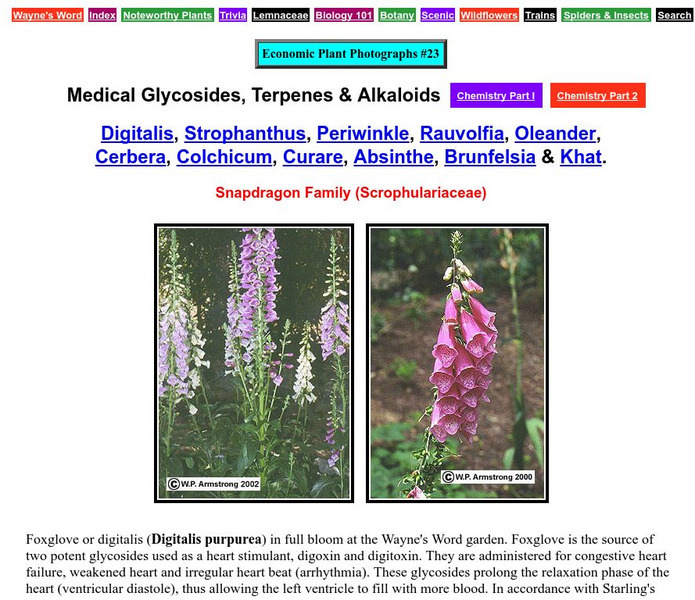 Wayne's Word: Economic/medicinal Plants Handout