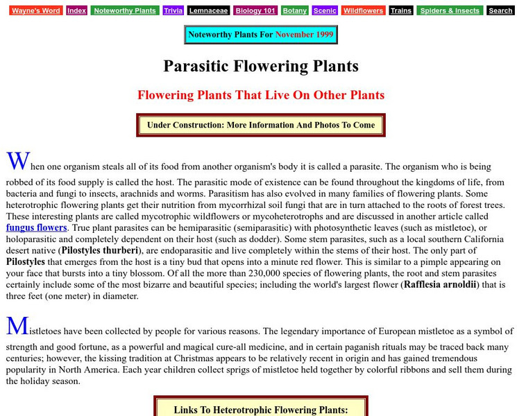 Palomar College: Parasitic Flowering Plants Handout Palomar College: Parasitic Flowering Plants Handout