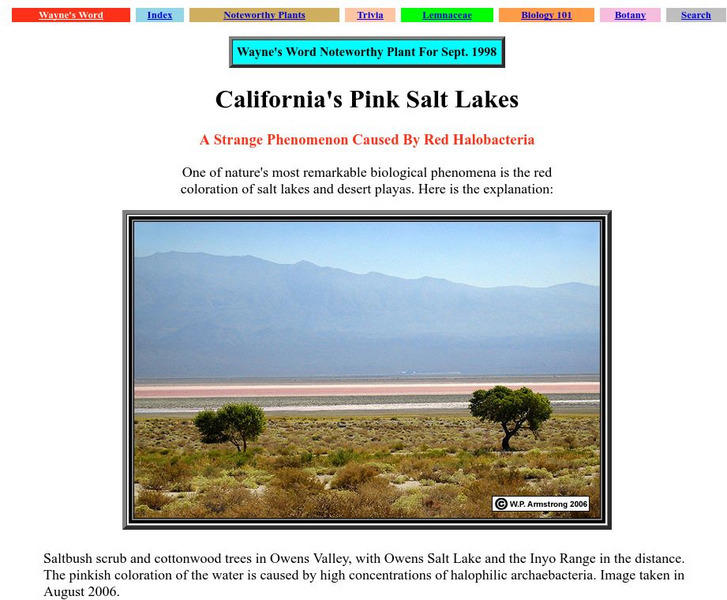 Wayne's Word: Life on Salt Lakes Handout Wayne's Word: Life on Salt Lakes Handout