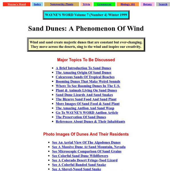 Wayne's Word: Sand Dunes: A Phenomenon of Wind Handout Wayne's Word: Sand Dunes: A Phenomenon of Wind Handout