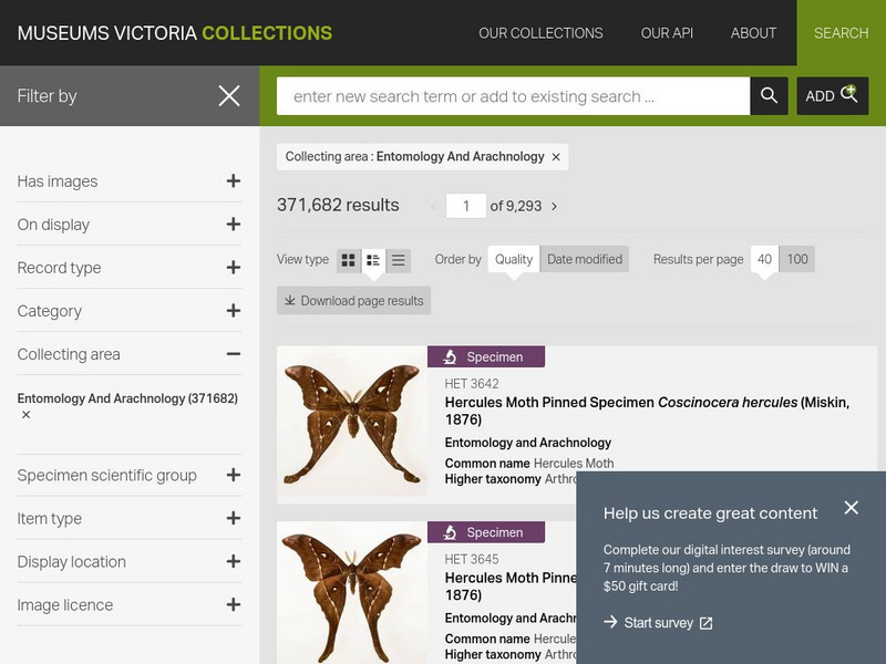 Museum Victoria: Bug Catcher Unit Plan Museum Victoria: Bug Catcher Unit Plan
