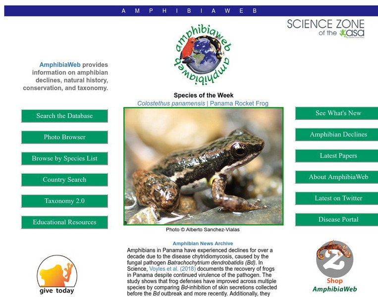 Regents of the University of California: Amphibia Web Website Regents of the University of California: Amphibia Web Website