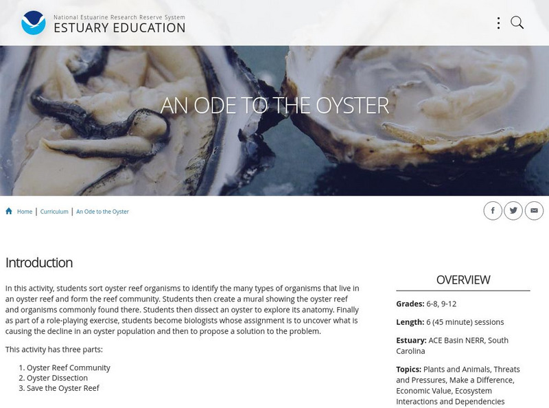 Noaa: Estuaries 101 Curriculum: An Ode to the Oyster Lesson Plan Noaa: Estuaries 101 Curriculum: An Ode to the Oyster Lesson Plan