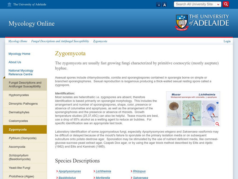University of Adelaide: Mycology Online: Zygomycetes Handout