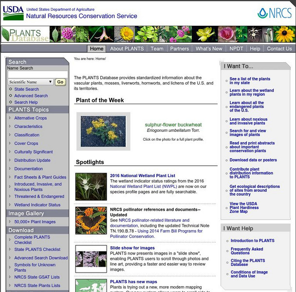 Usda: Plants National Database Website Usda: Plants National Database Website