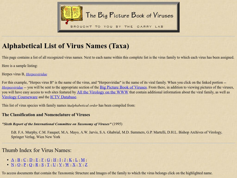 The Big Picture Book of Viruses Website The Big Picture Book of Viruses Website