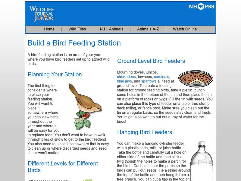 Nh Pbs: Wildlife Journal Jr: Build a Bird Feeding Station Activity