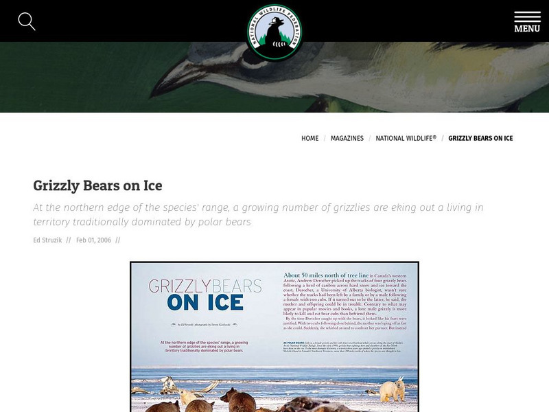 National Wildlife Magazine: Grizzly Bears on Ice Website National Wildlife Magazine: Grizzly Bears on Ice Website