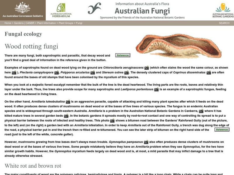 Australian Government: Wood Rotting Fungi Handout Australian Government: Wood Rotting Fungi Handout