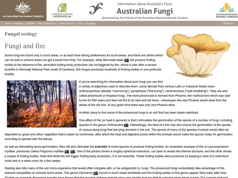 Australian Government: Fungi and Fire Handout Australian Government: Fungi and Fire Handout