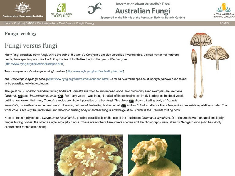 Australian Government: Fungi Versus Fungi Handout Australian Government: Fungi Versus Fungi Handout
